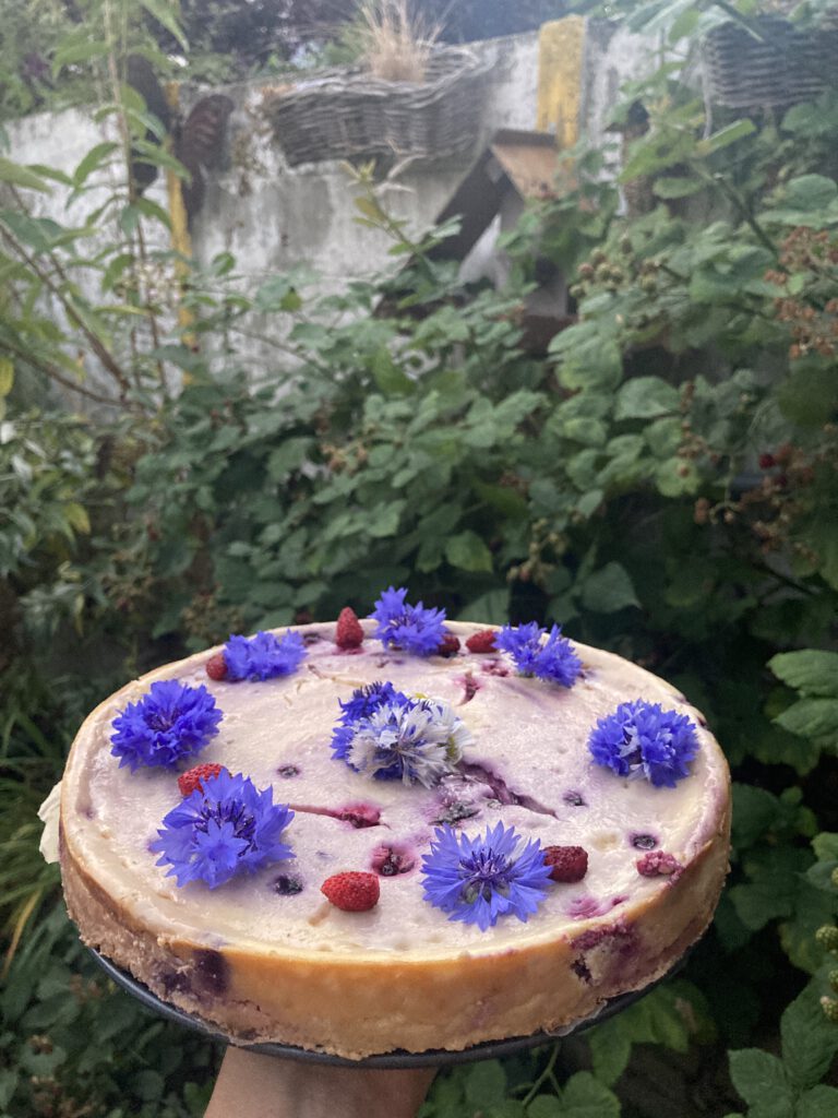 klassieke cheesecake met fruit uit de tuin versierd met bloemen en aardbei